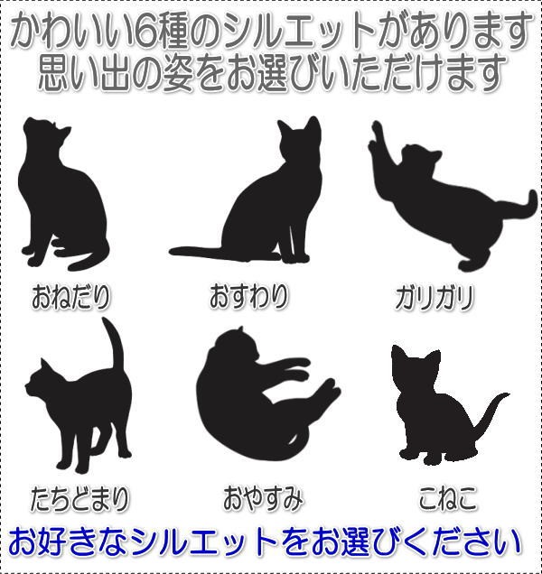 画像-2