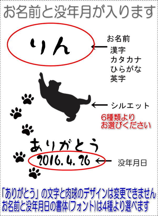 画像-1