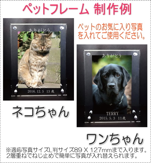 画像-5