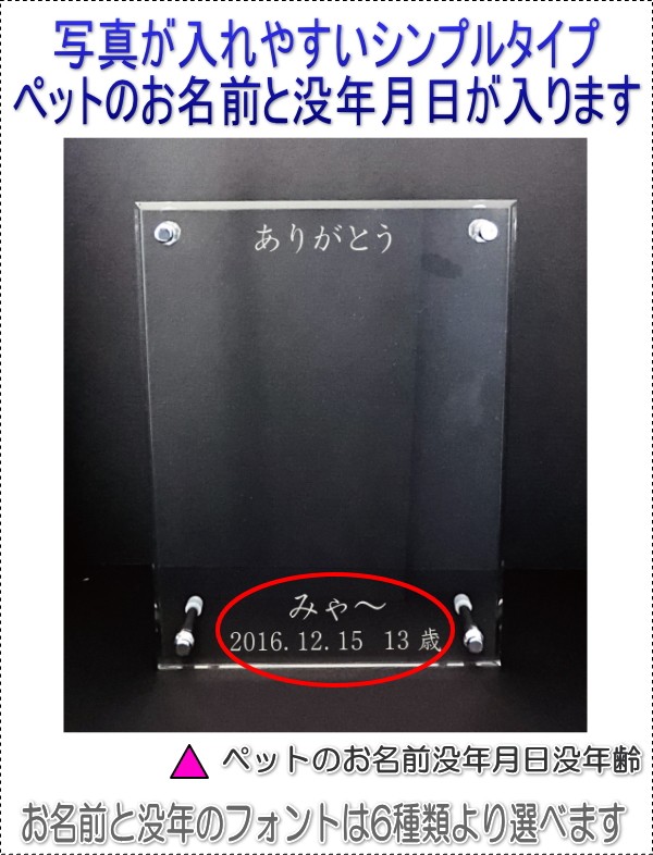 画像-2