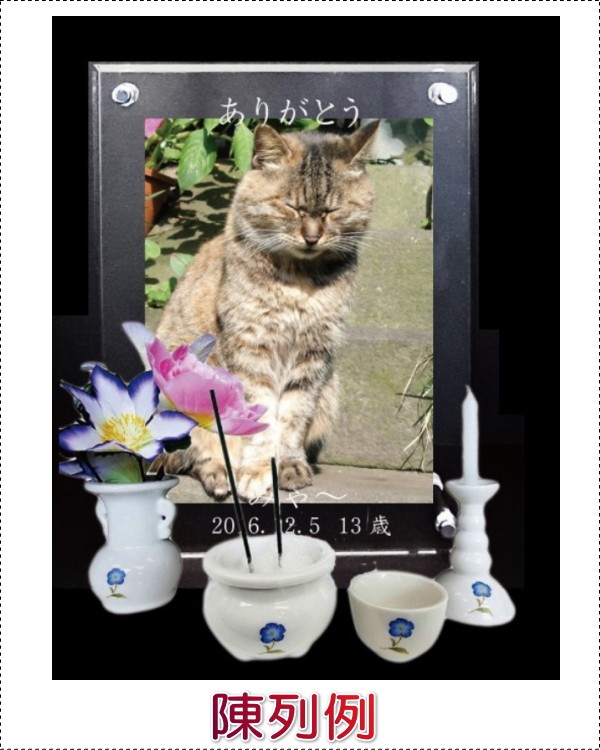 画像-1