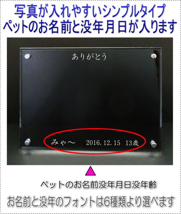 画像-2