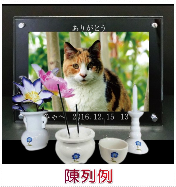 画像-1