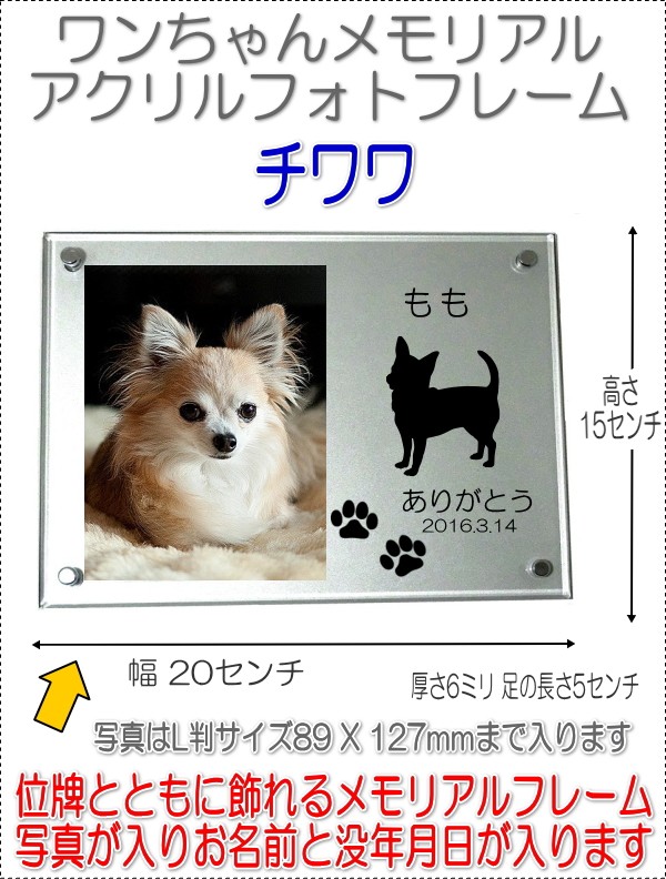 画像-1