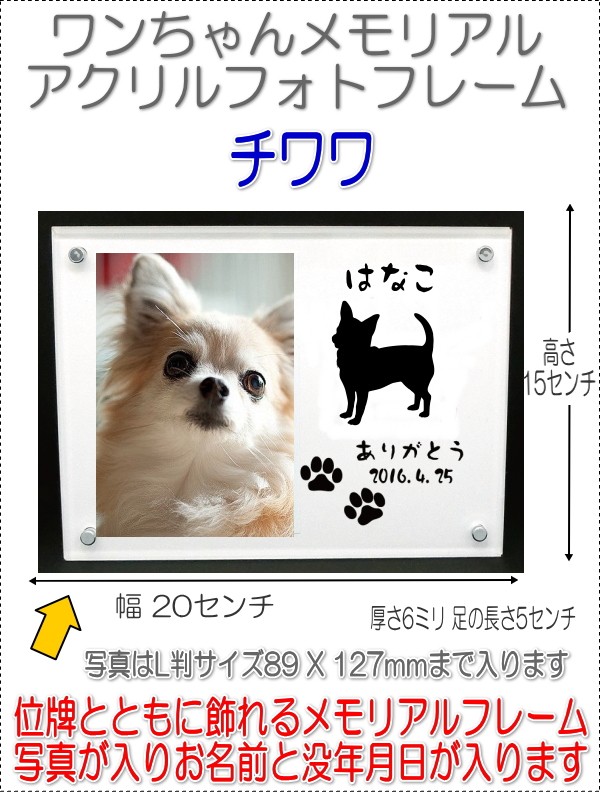 画像-1