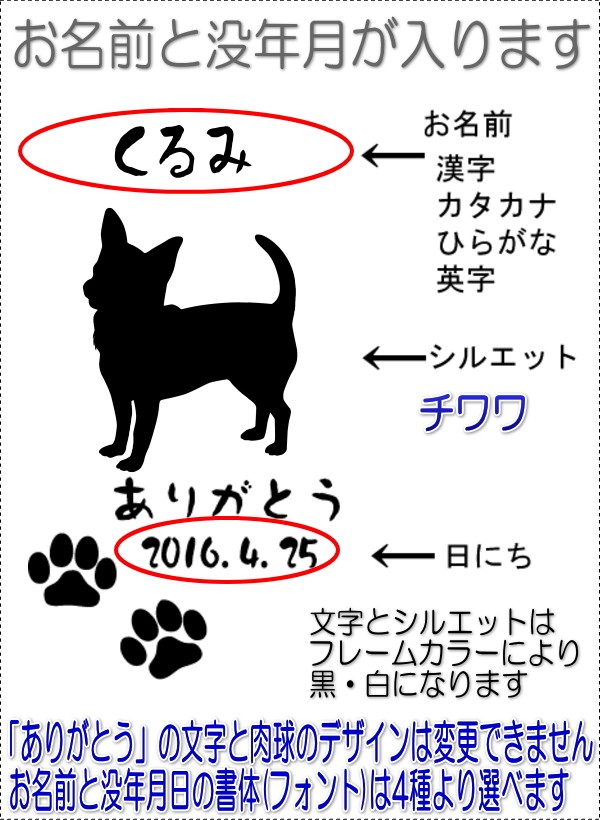 画像-2
