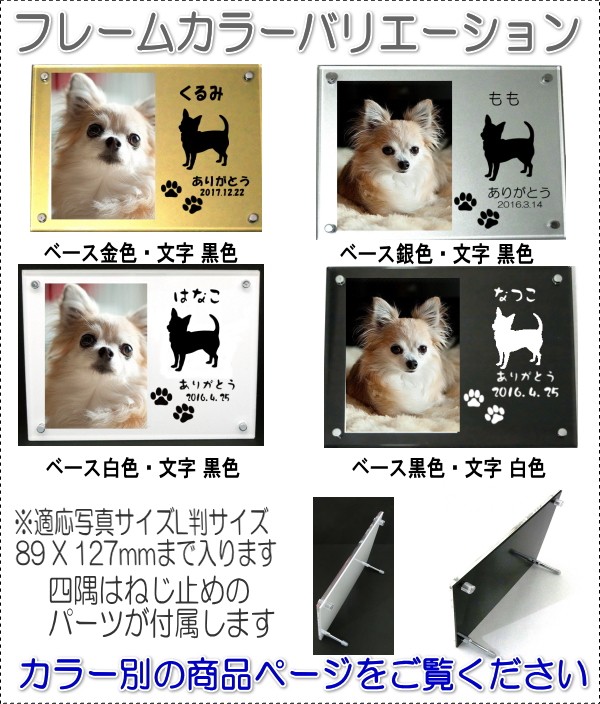 画像-3