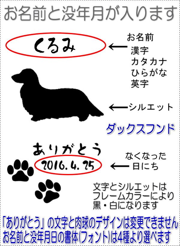 画像-2