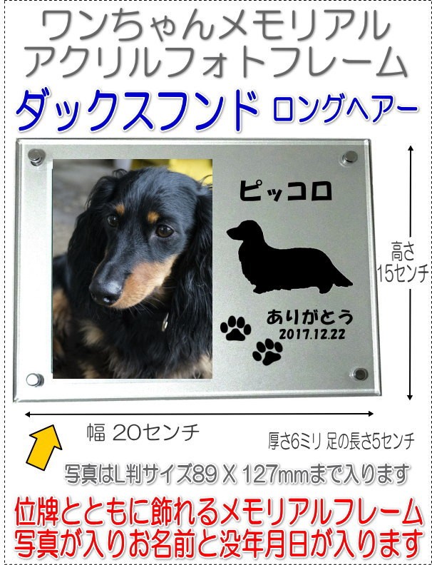 画像-1