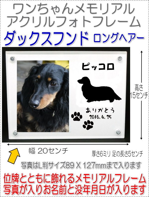 画像-1