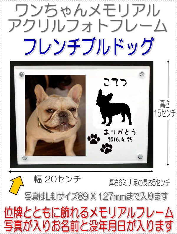 画像-1