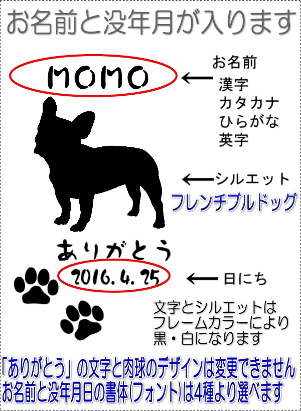 画像-2