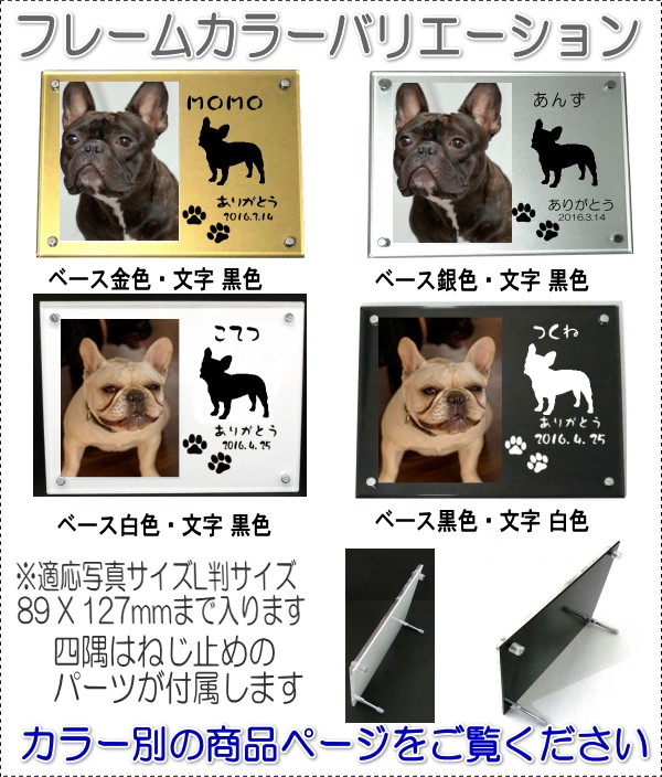 画像-3