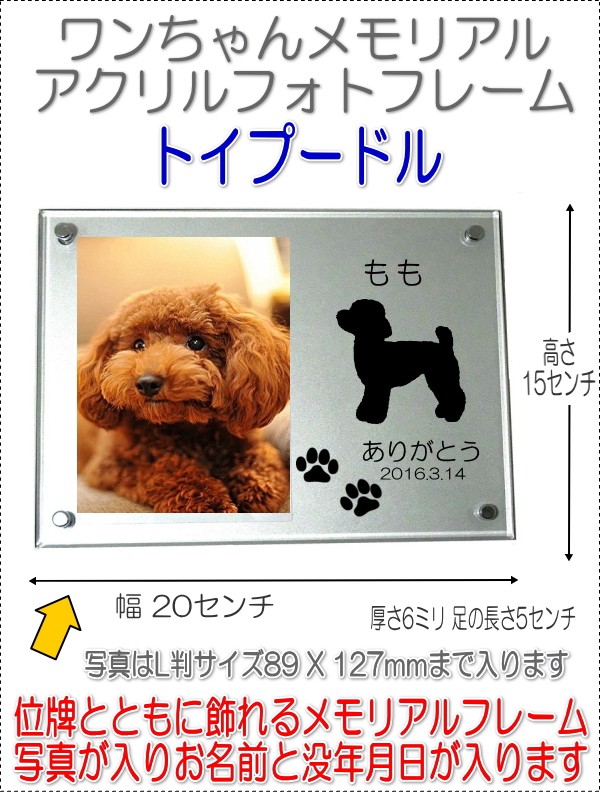 画像-1