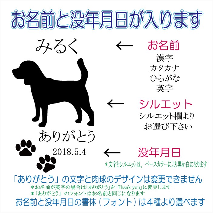 画像-2