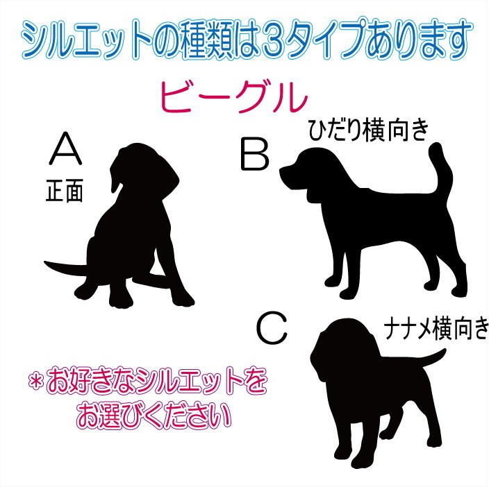 画像-3