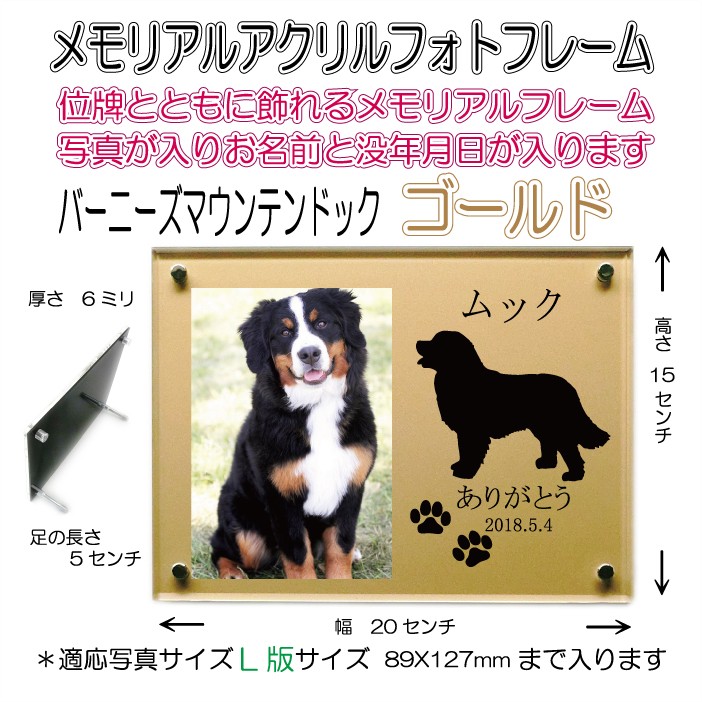 画像-1