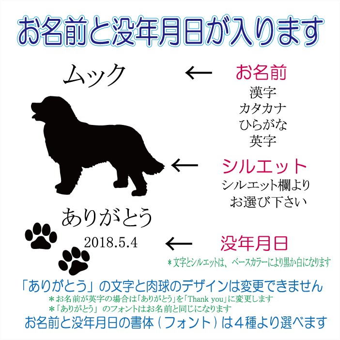 画像-2