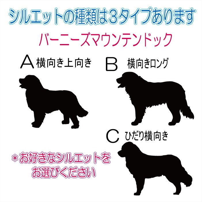画像-3