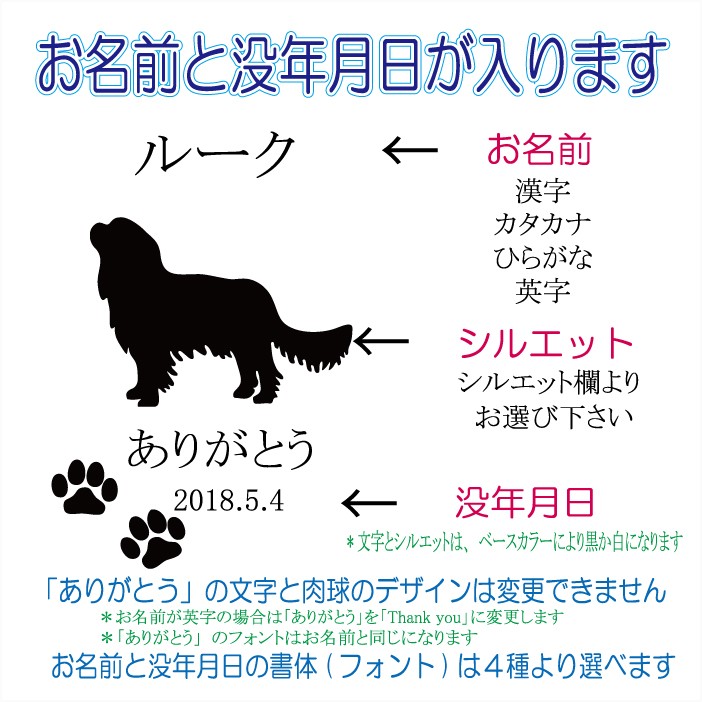 画像-2