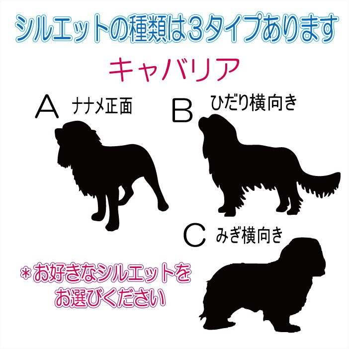 画像-3