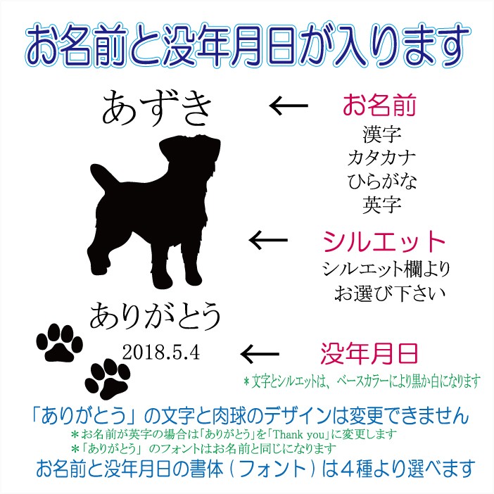 画像-2