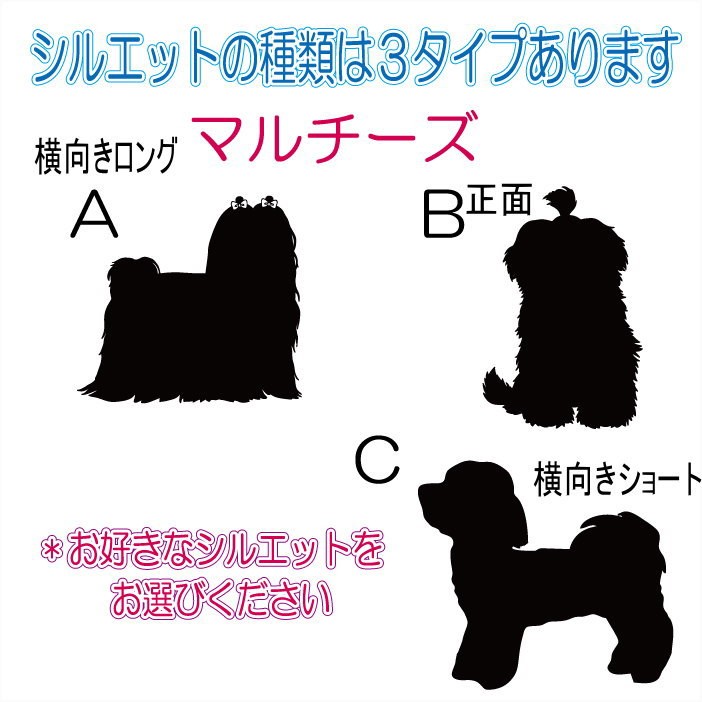 画像-3