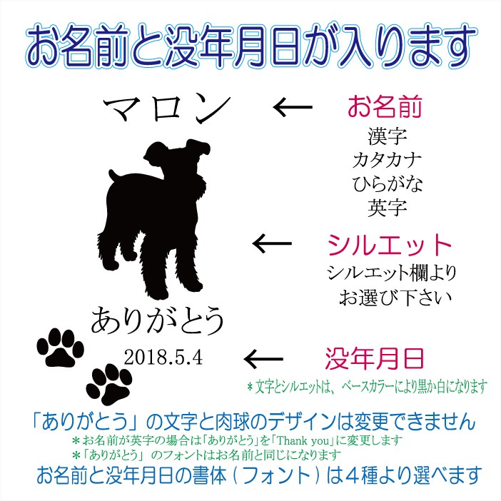 画像-2