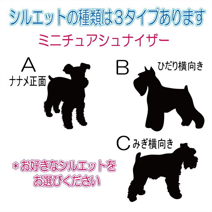 画像-3