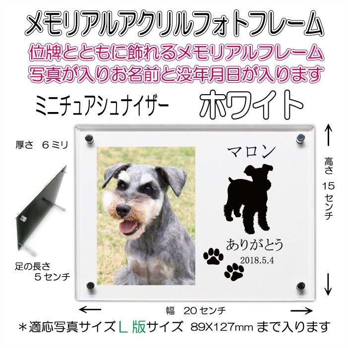 画像-1