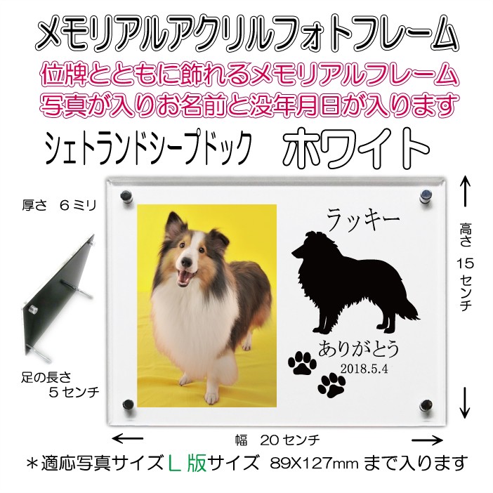 画像-1