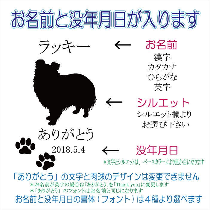 画像-2