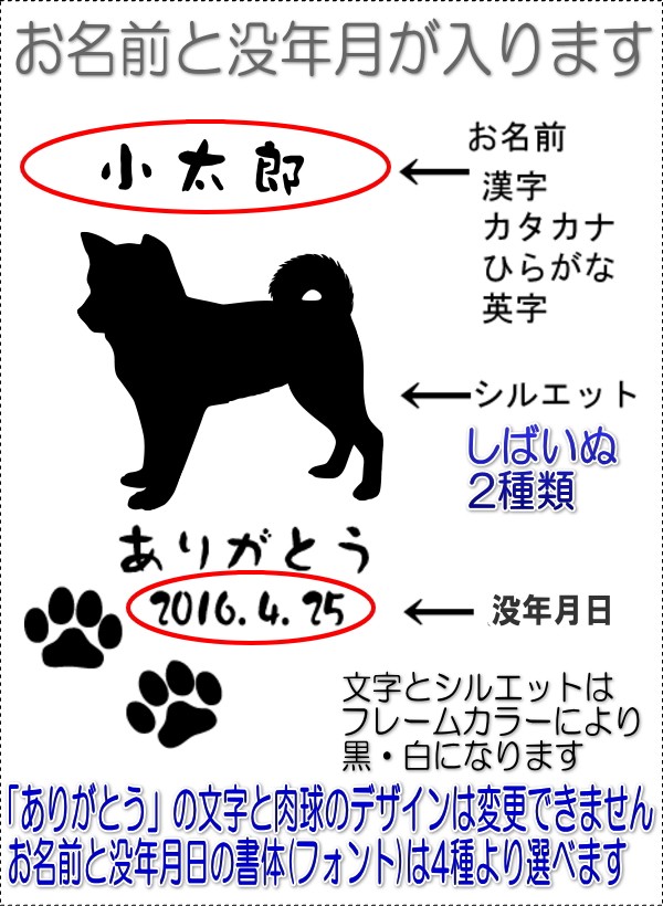 画像-1