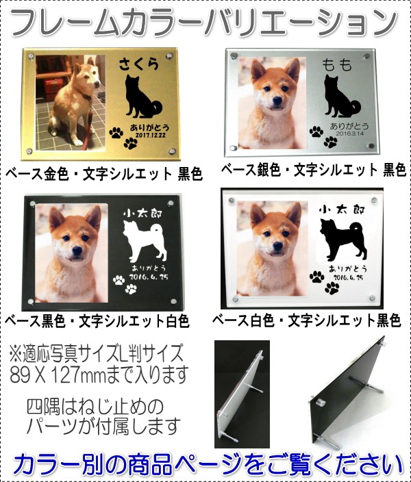 画像-3