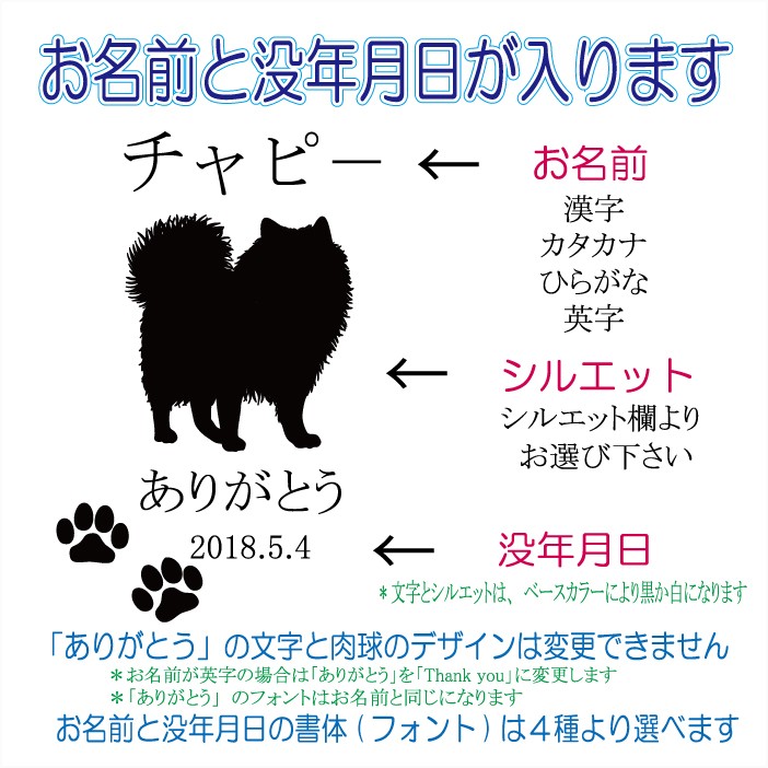 画像-2
