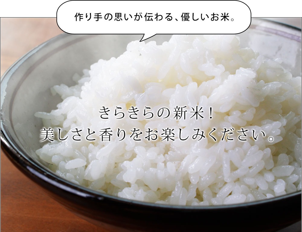 創業祭／減農薬栽培自家米 金助谷 きぬ 滋賀県農家より直送 令和５年度