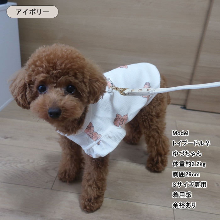 Dカン付き　くまちゃんプリント　ワッフルTシャツ　伸縮性　犬服　アウター　ロングシーズン　ドッグウェア　お散歩　かわいい 送料無料 PAA0083