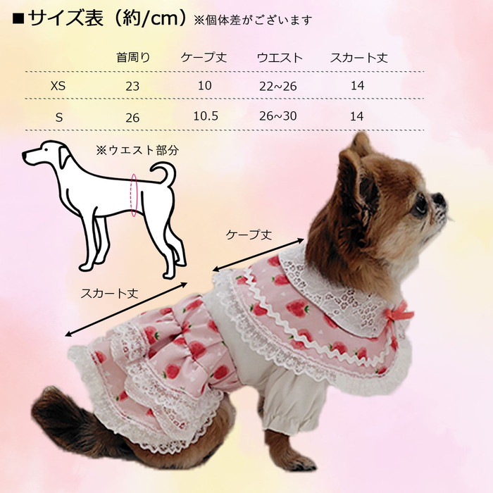 ハンドメイド Ankina いちごレースセットアップ 日本製