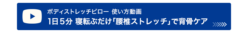 phiten 送料無料 腰椎 ストレッチ マッサージクッション ボディクッション