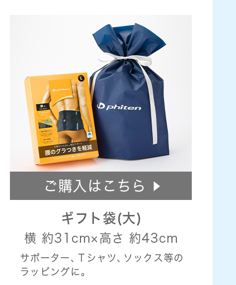 楽天市場】ファイテンローラーの通販