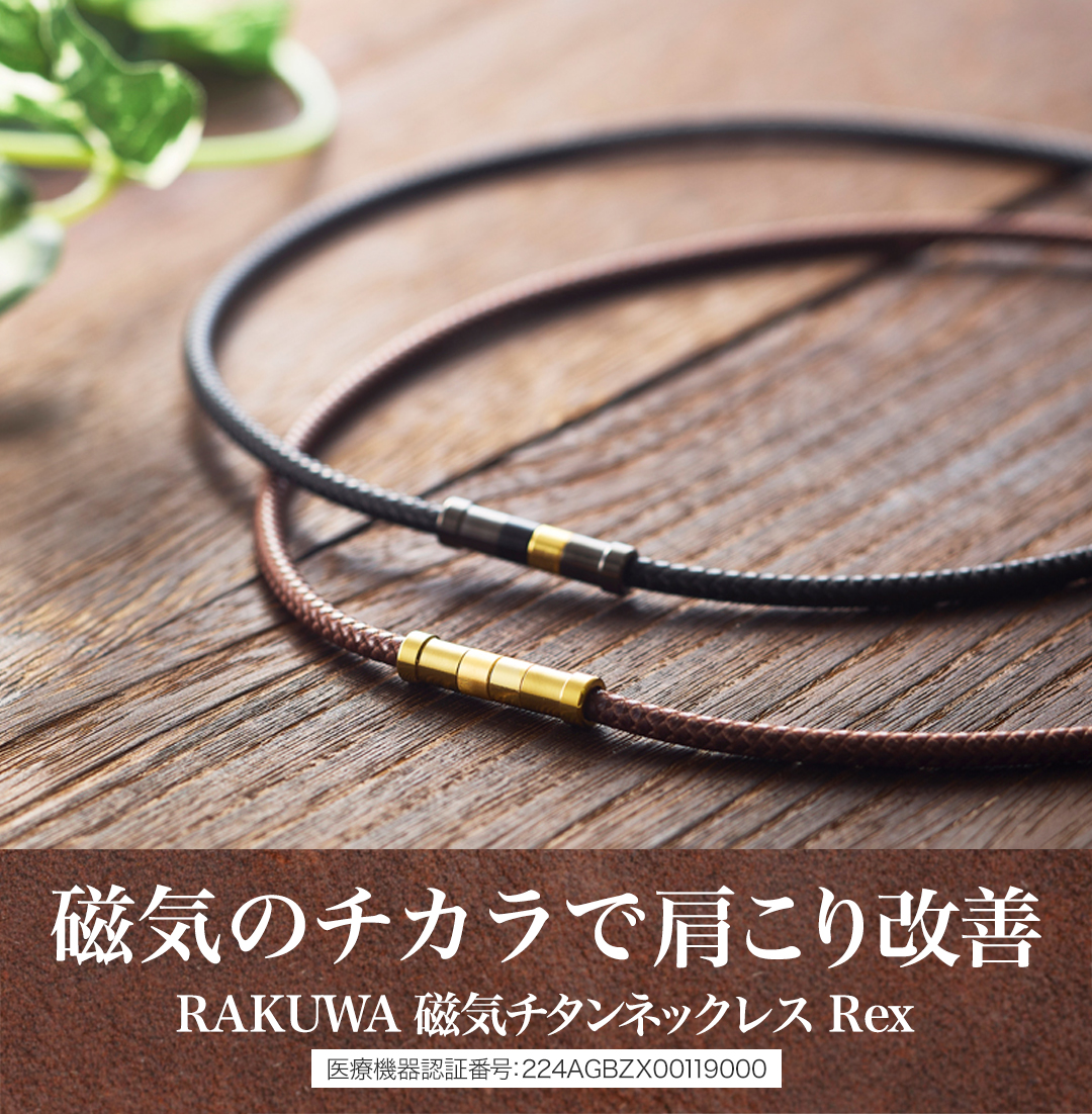 ファイテン RAKUWA磁気チタンネックレス　Rex