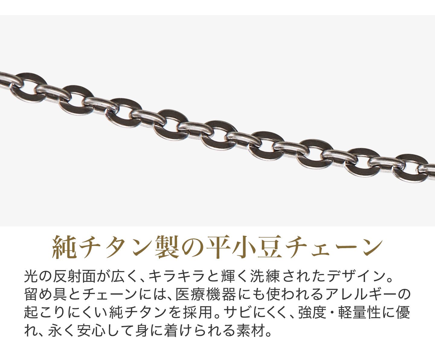 Phiten（ファイテン） ネックレス チタンチェーン ステーション【公式