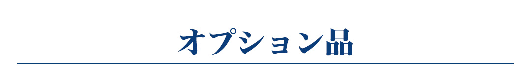 オプション見出し