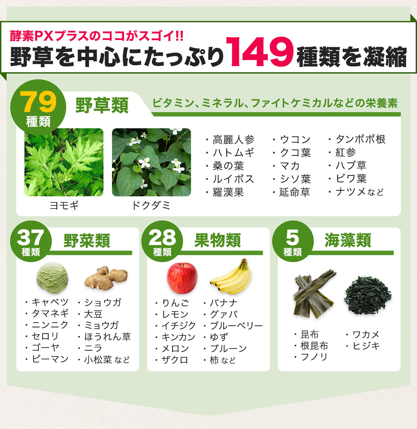 ファイテン 酵素PX