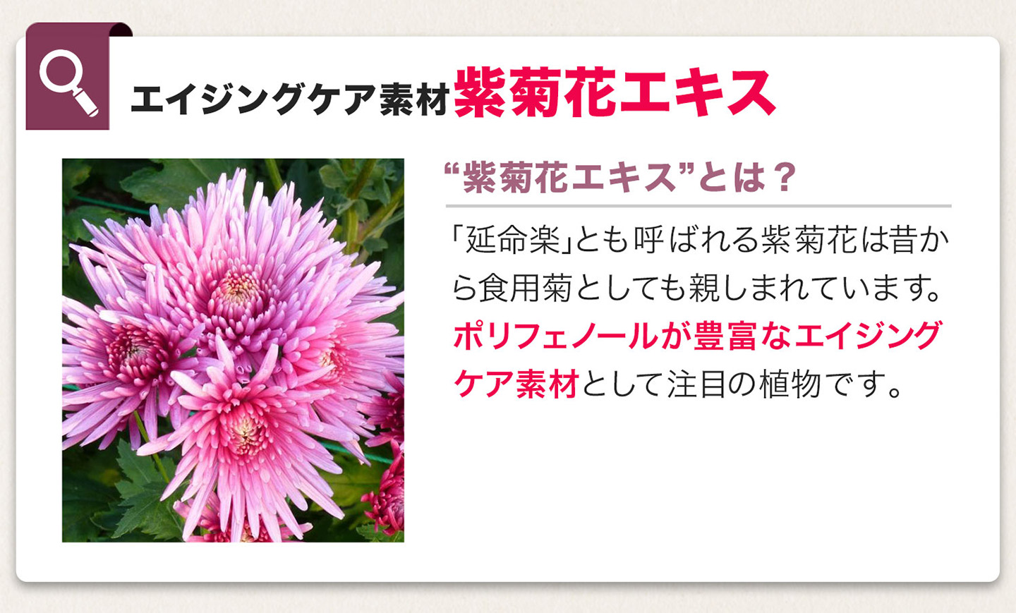 ファイテン 酵素PX