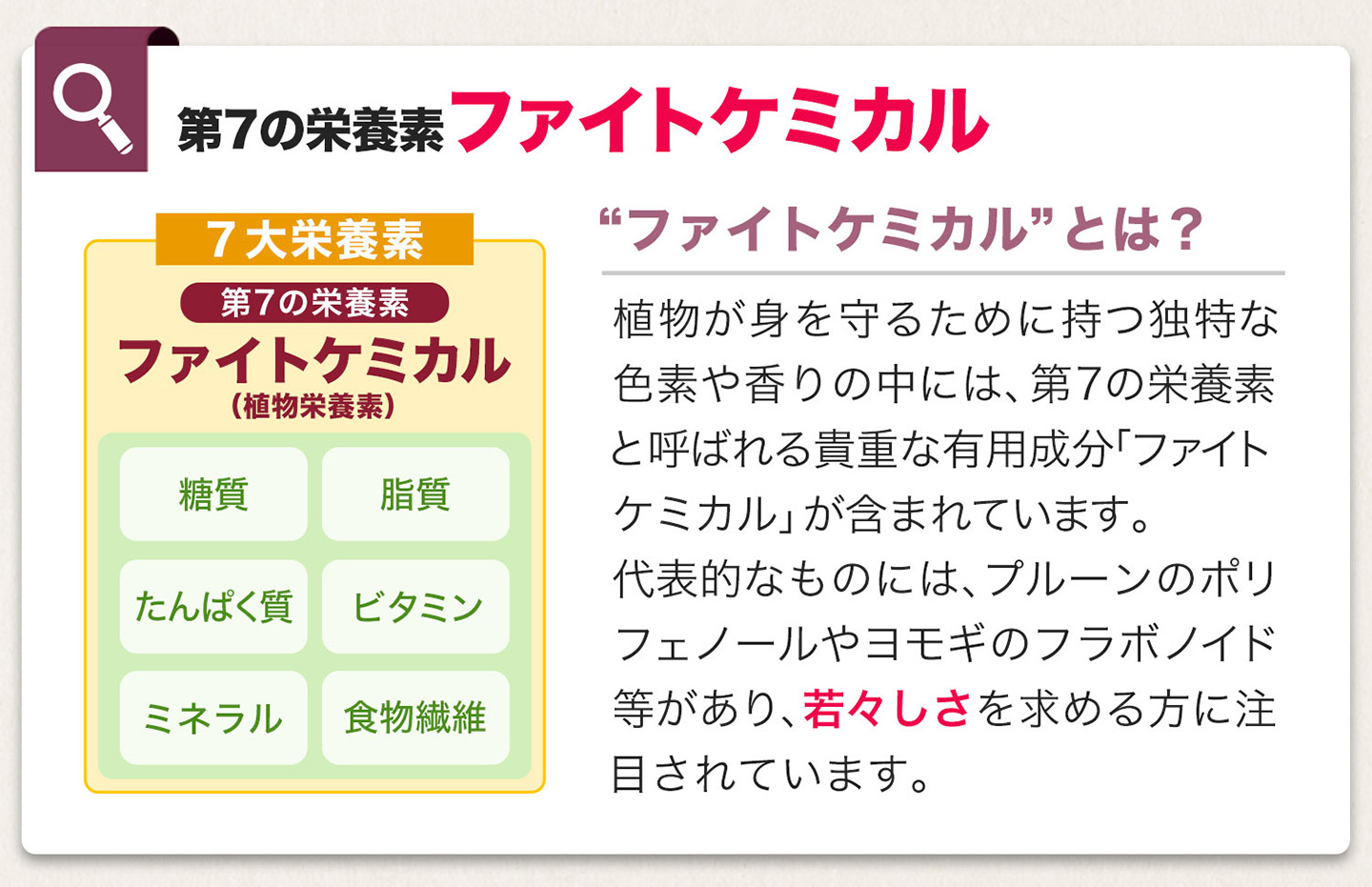 ファイテン 酵素PX
