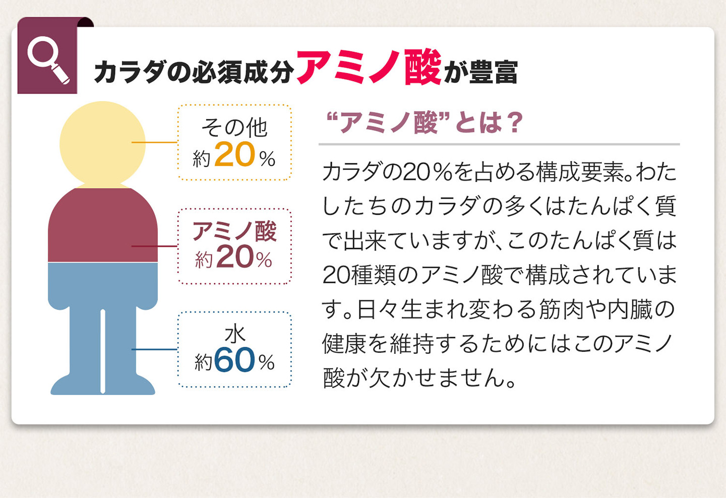 ファイテン 酵素PX