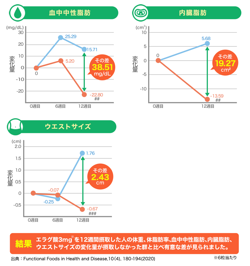 ファイテン シボヘリーナα(機能性表示食品) :0618GS580000:ファイテン