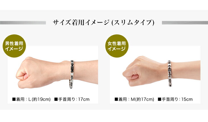 Phiten（ファイテン） ハードコートチタンブレス メタックス スリム