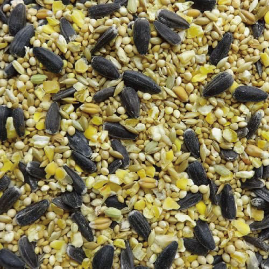 ナチュラルペットフーズ 大容量 野鳥のまき餌 6.8kg : PHeeKヤフー店